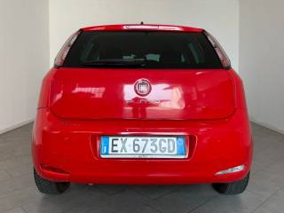 FIAT Punto usata 7