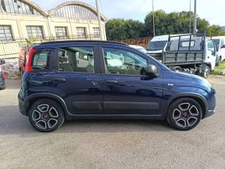 FIAT Panda usata 4