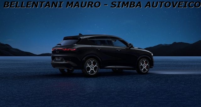 ALFA ROMEO Tonale usata, con Boardcomputer