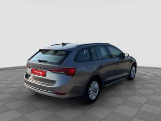 SKODA Octavia usata 4