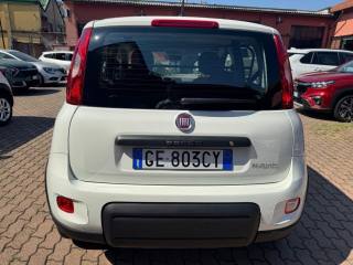 FIAT Panda usata, con Boardcomputer