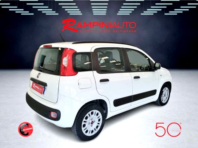 FIAT Panda usata 6