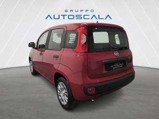 FIAT Pandina usata, con Airbag Passeggero