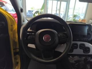 FIAT Pandina usata, con Climatizzatore