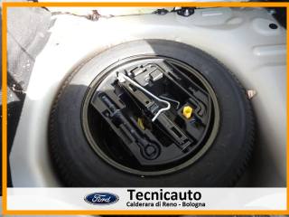 CITROEN C4 Cactus usata 22