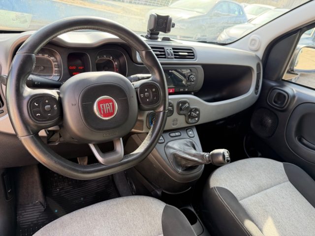 FIAT Panda usata 9