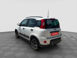 FIAT Panda usata 2