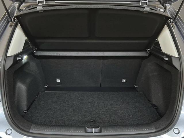 MG ZS usata, con Chiusura centralizzata