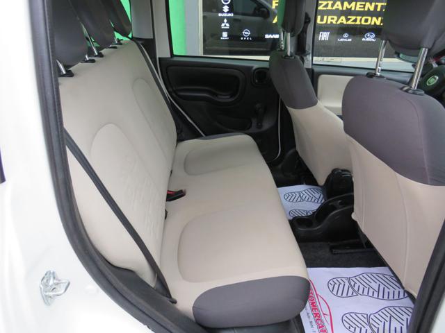 FIAT Panda usata 19
