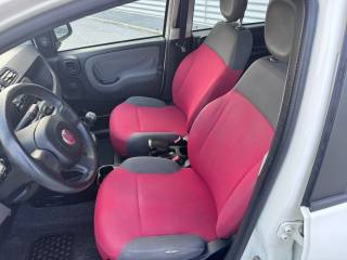 FIAT Panda usata, con Marmitta catalitica