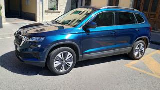 SKODA Karoq usata, con Fendinebbia