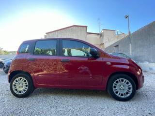 FIAT Panda usata, con Controllo trazione