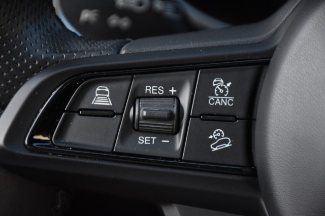 ALFA ROMEO Stelvio usata, con Bracciolo