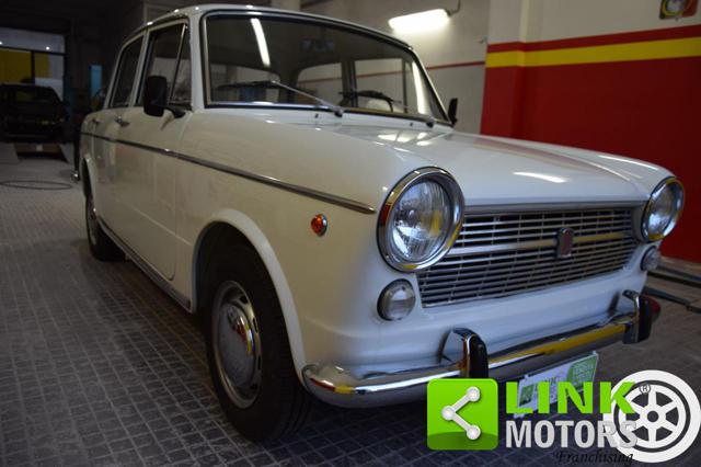 FIAT 1100 usata 15