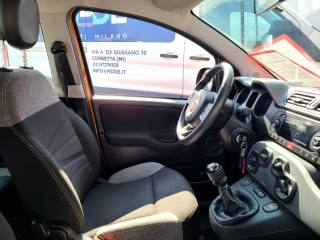 FIAT Panda usata 18