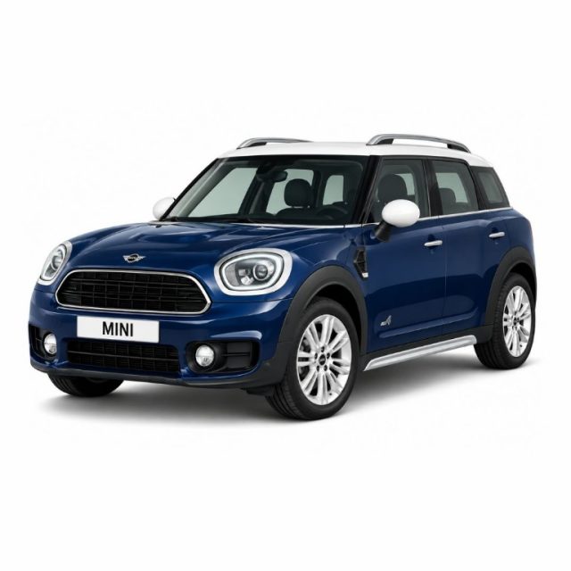 MINI Countryman usata, con ABS