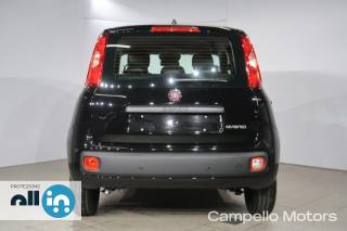FIAT Panda usata 3