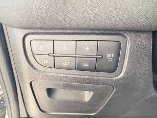 FIAT Punto usata 38