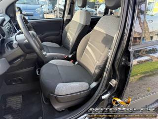FIAT Panda usata, con Climatizzatore
