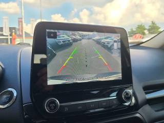 FORD EcoSport usata, con Fendinebbia