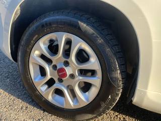 FIAT Panda usata 8