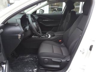 MAZDA CX-30 usata, con Antifurto