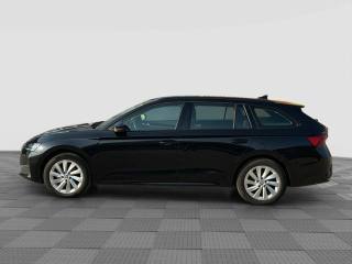 SKODA Octavia usata 1