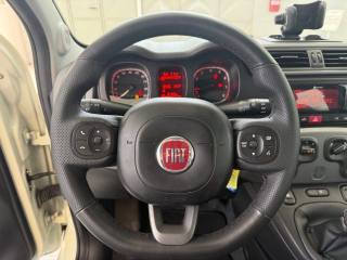 FIAT Panda usata, con Servosterzo