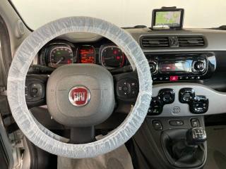 FIAT Panda usata 20