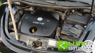 VOLKSWAGEN New Beetle usata 34