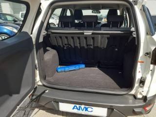 FORD EcoSport usata, con Bracciolo