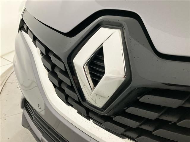 RENAULT Scenic usata 24