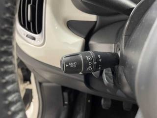 FIAT 500L usata 21