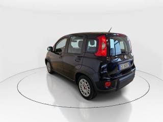 FIAT Panda usata, con Chiusura centralizzata