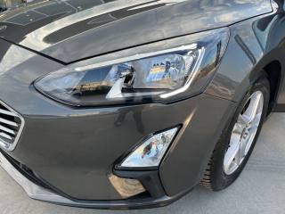 FORD Focus usata, con Bracciolo
