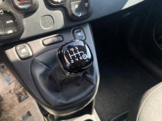 FIAT Panda Cross usata, con ESP