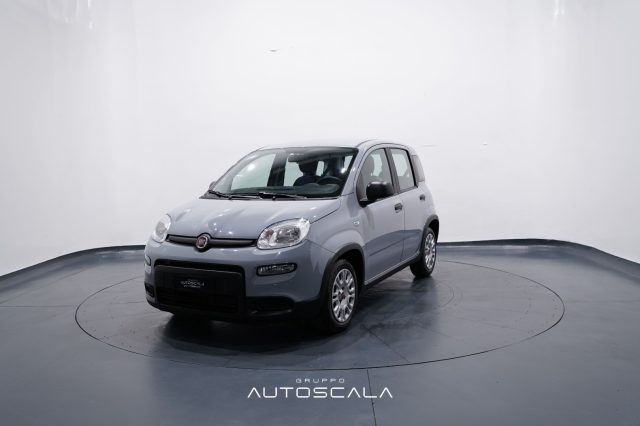 FIAT New Panda usata, con ABS