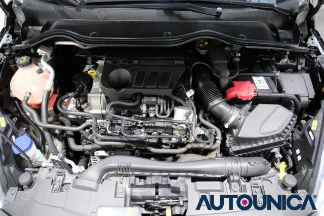 FORD Fiesta usata 57