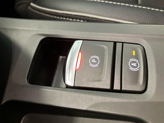 RENAULT Arkana usata 29