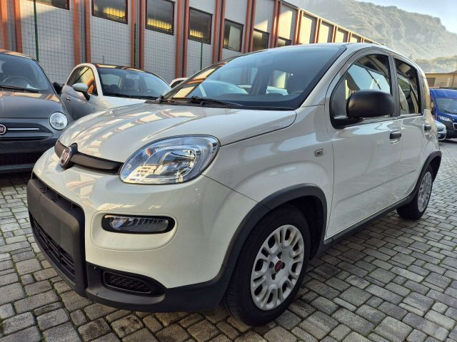 FIAT Panda usata, con Airbag Passeggero
