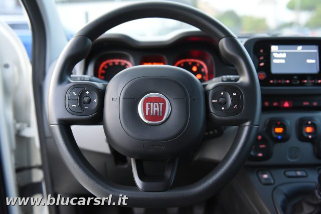 FIAT Panda usata 21