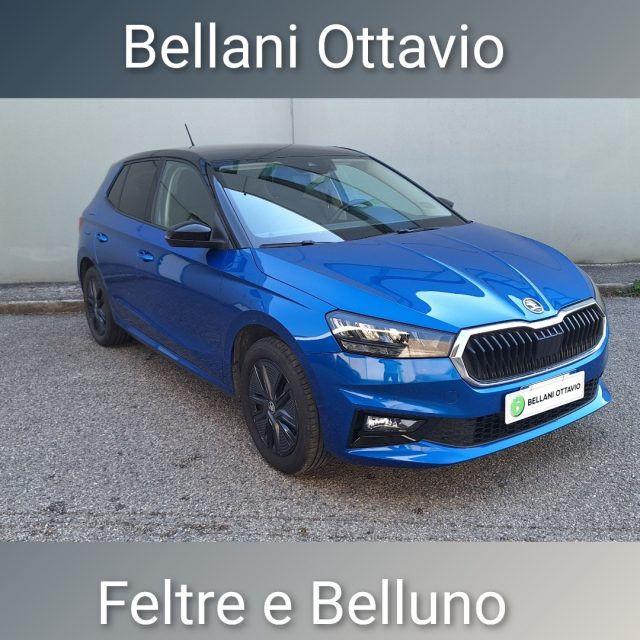 SKODA Fabia usata, con ABS