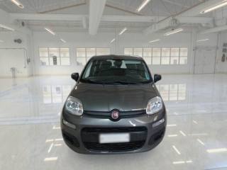 FIAT Panda usata, con Climatizzatore