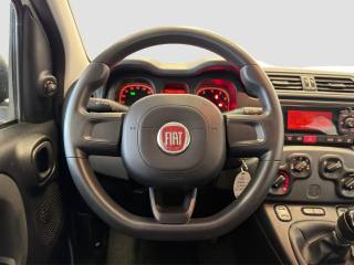 FIAT Panda usata 11