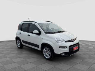FIAT Panda usata 6