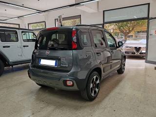 FIAT Panda Cross usata, con Chiusura centralizzata