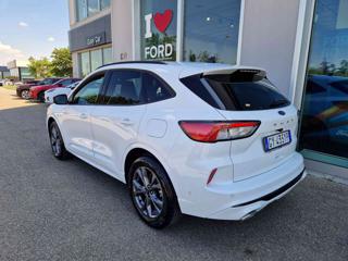 FORD Kuga usata, con Alzacristalli elettrici