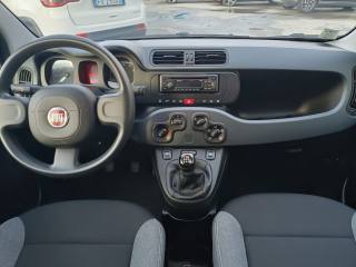 FIAT Panda usata, con Servosterzo