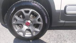 FIAT Panda Cross usata, con Controllo trazione
