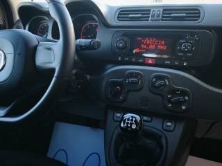 FIAT Panda usata, con Airbag testa
